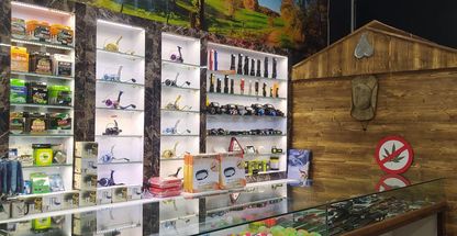 کوهنوردی ماهیگیری کمپینگ شکار شیرباد