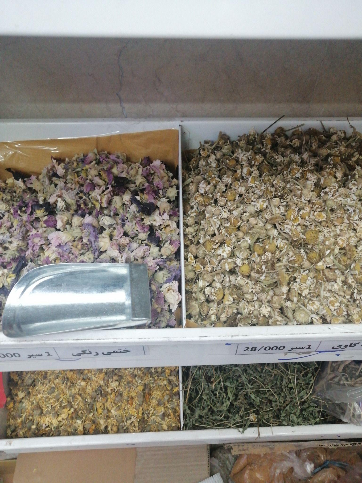 گیاهان دارویی شبدر