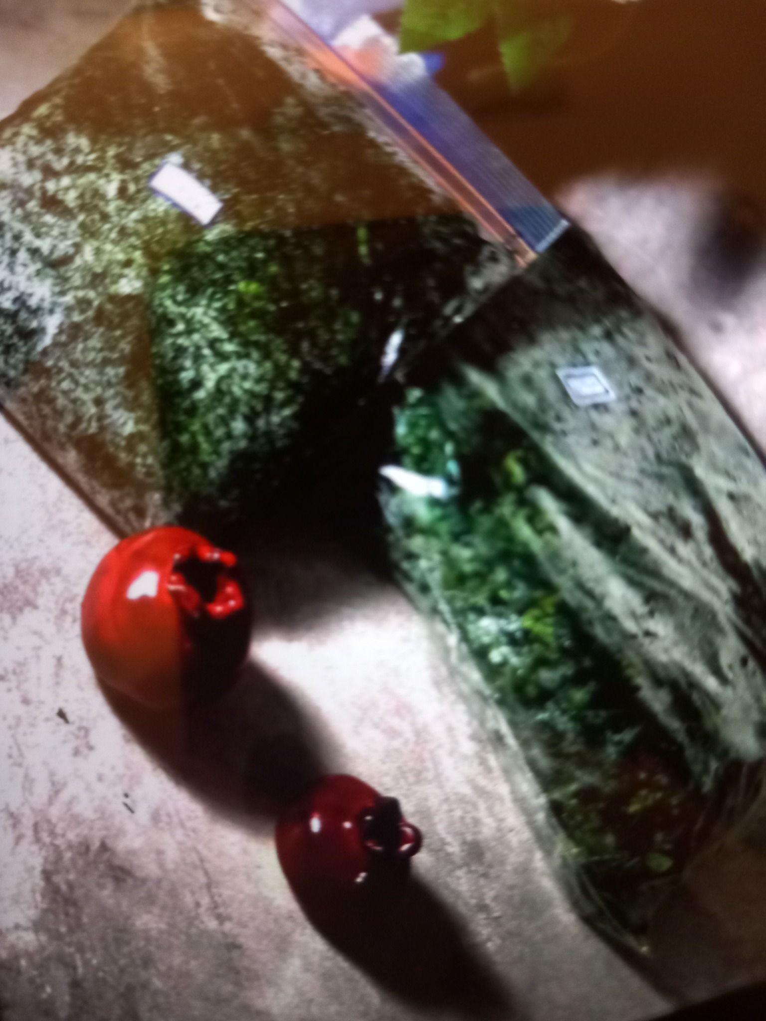 مزرعه سبز  فروش سبزی