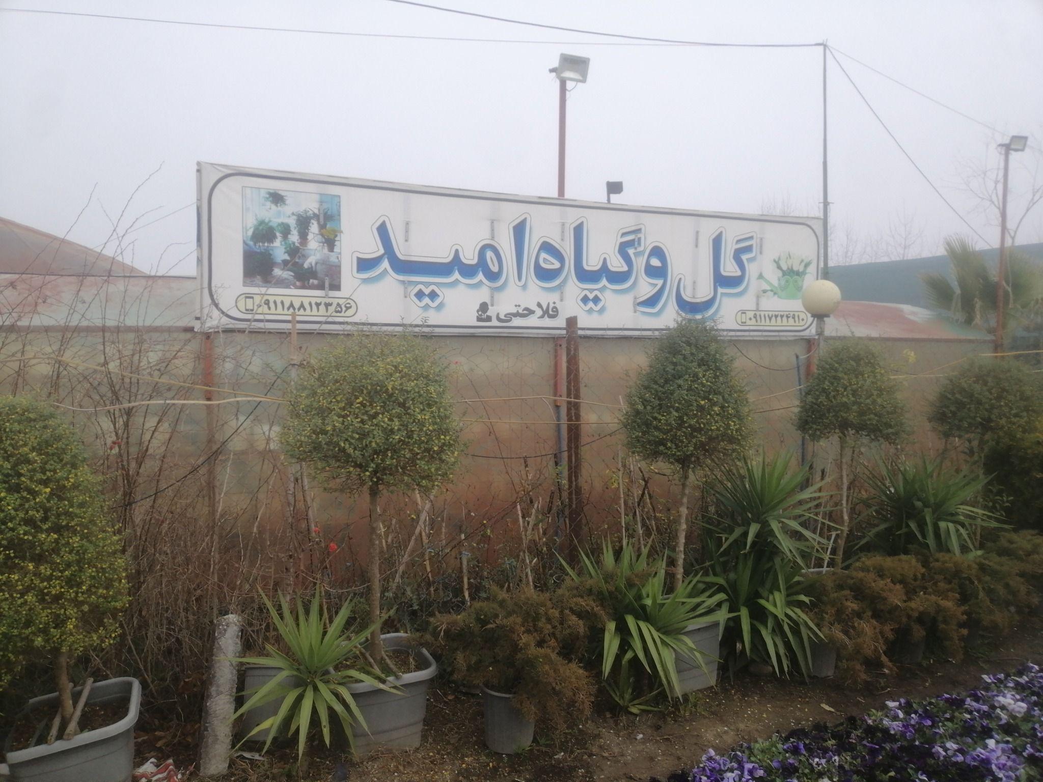 تولید وفروش گل وگیاه