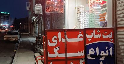 غذا و ملزومات جانبی سگ گربه و پرنده