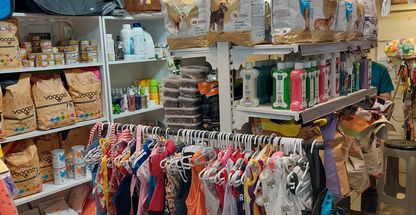 پت شاپ لاوینا