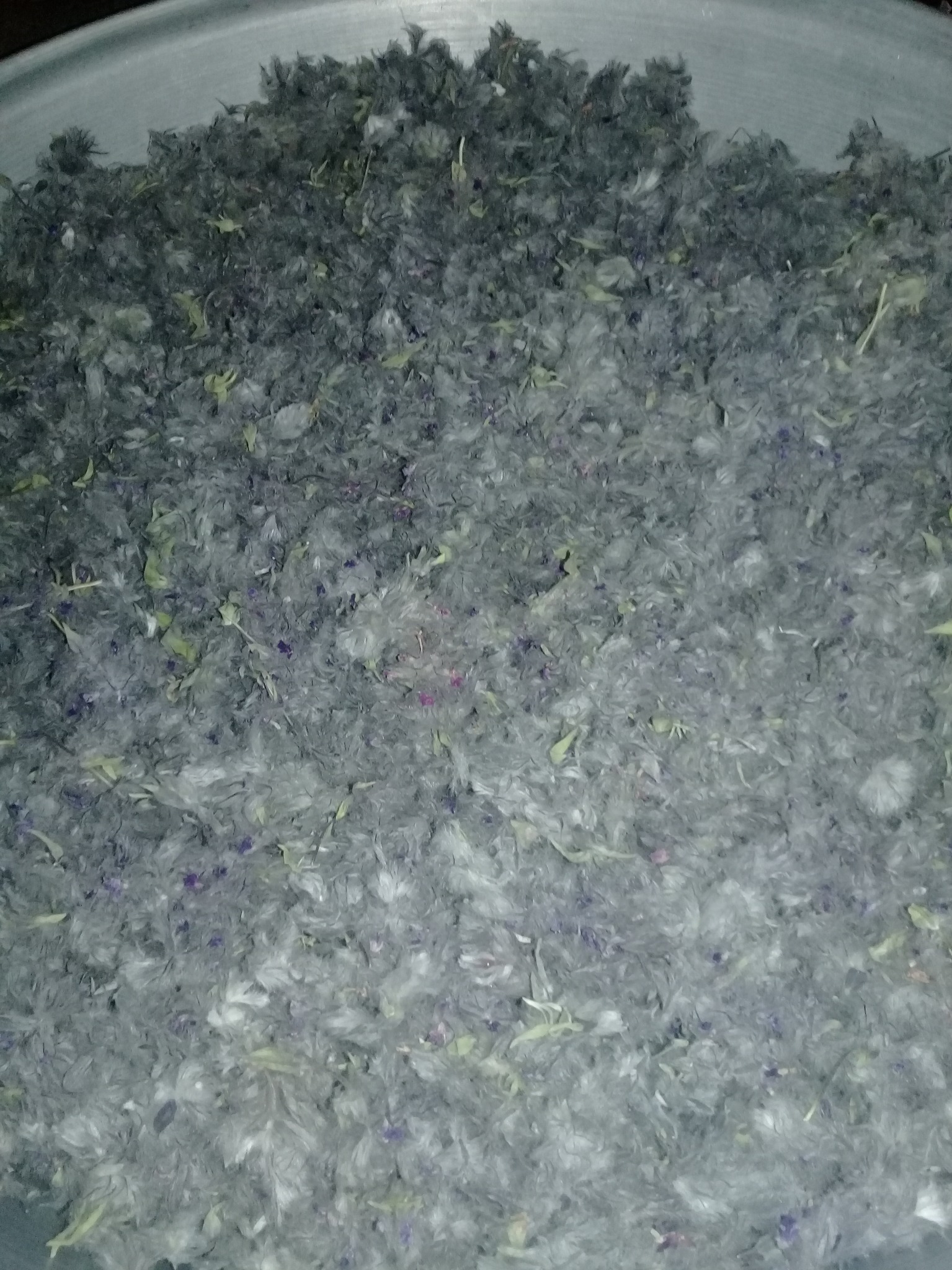 فروشگاه طبیعی حجت مهدیزاده