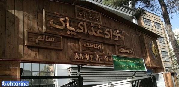 غذای سالم و گاهی نوای غذای پاک 