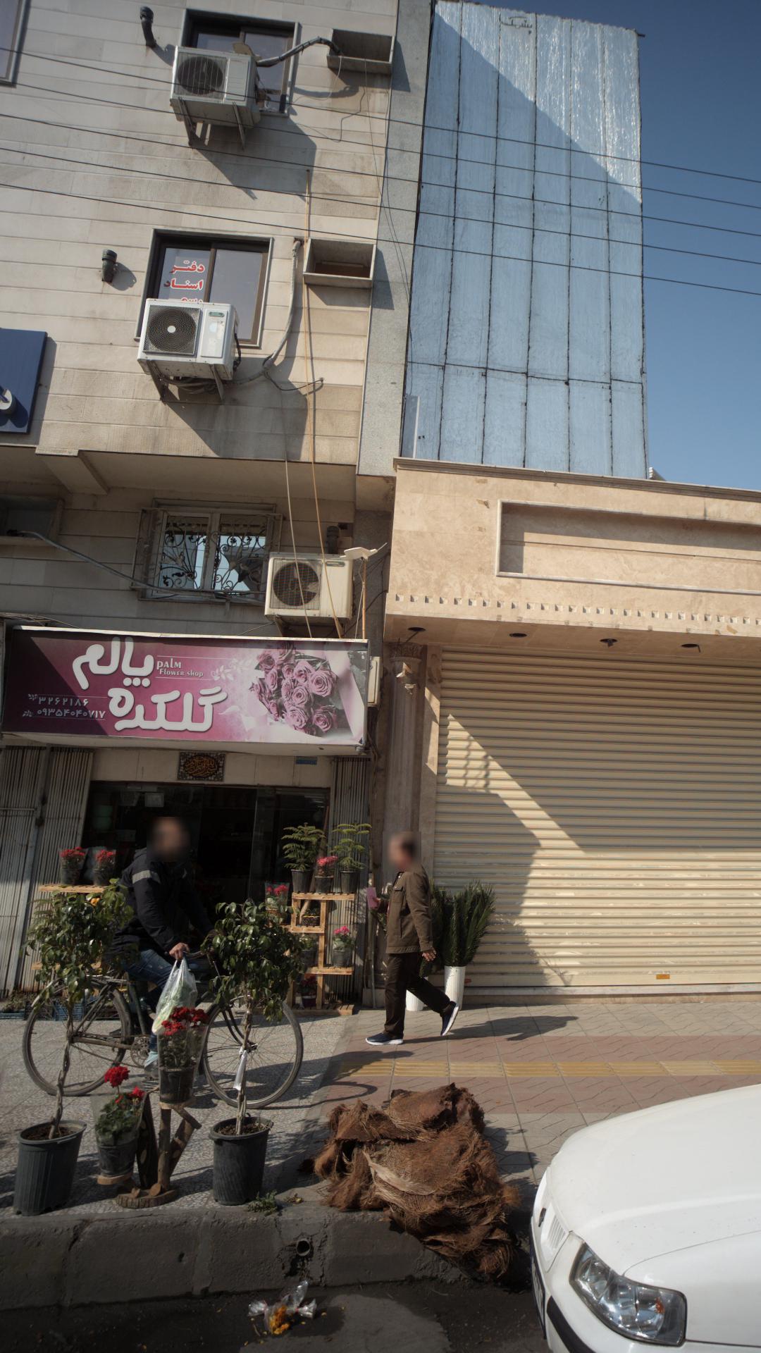 گلکده پالم