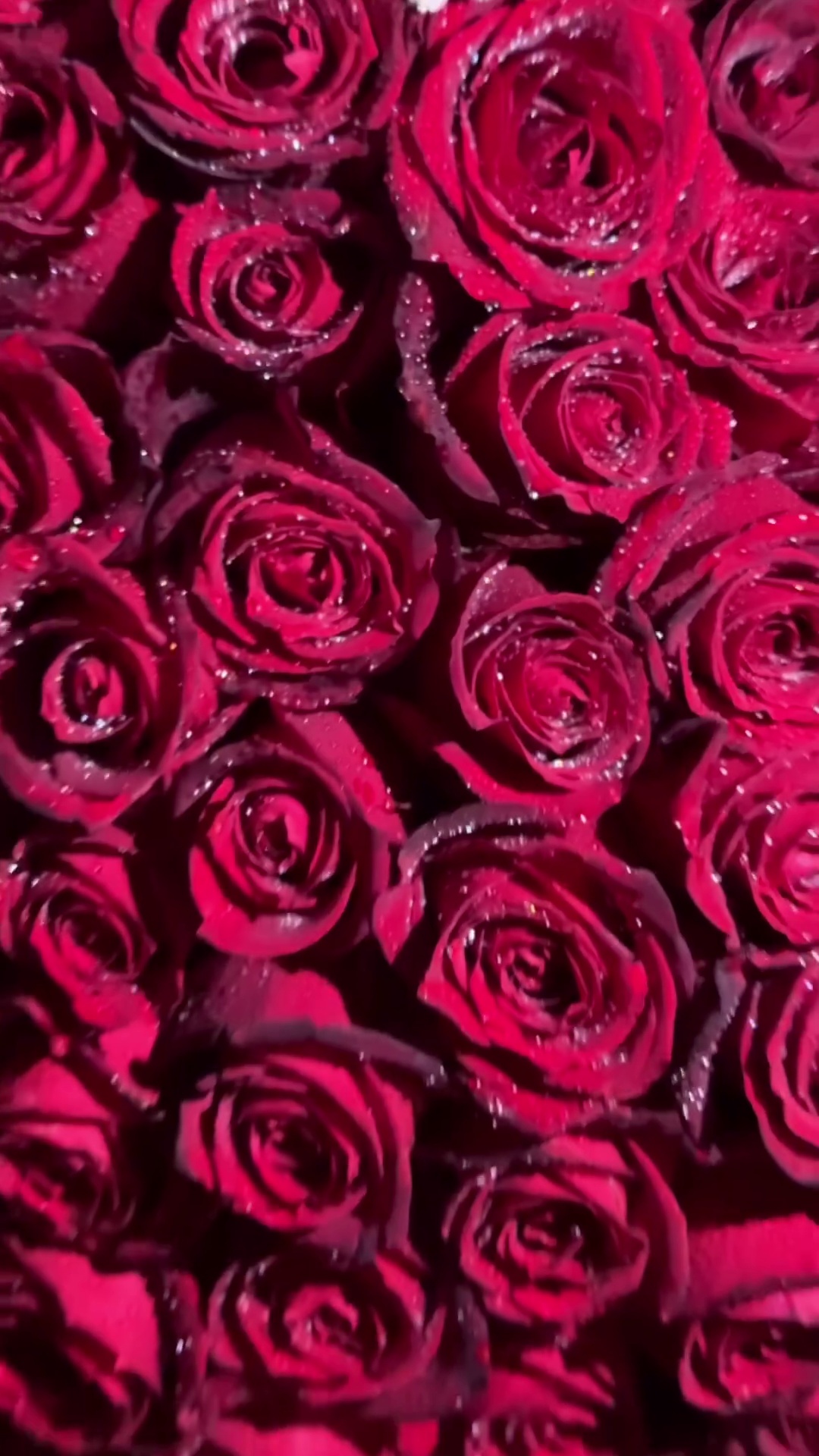 گلفروشی قادری