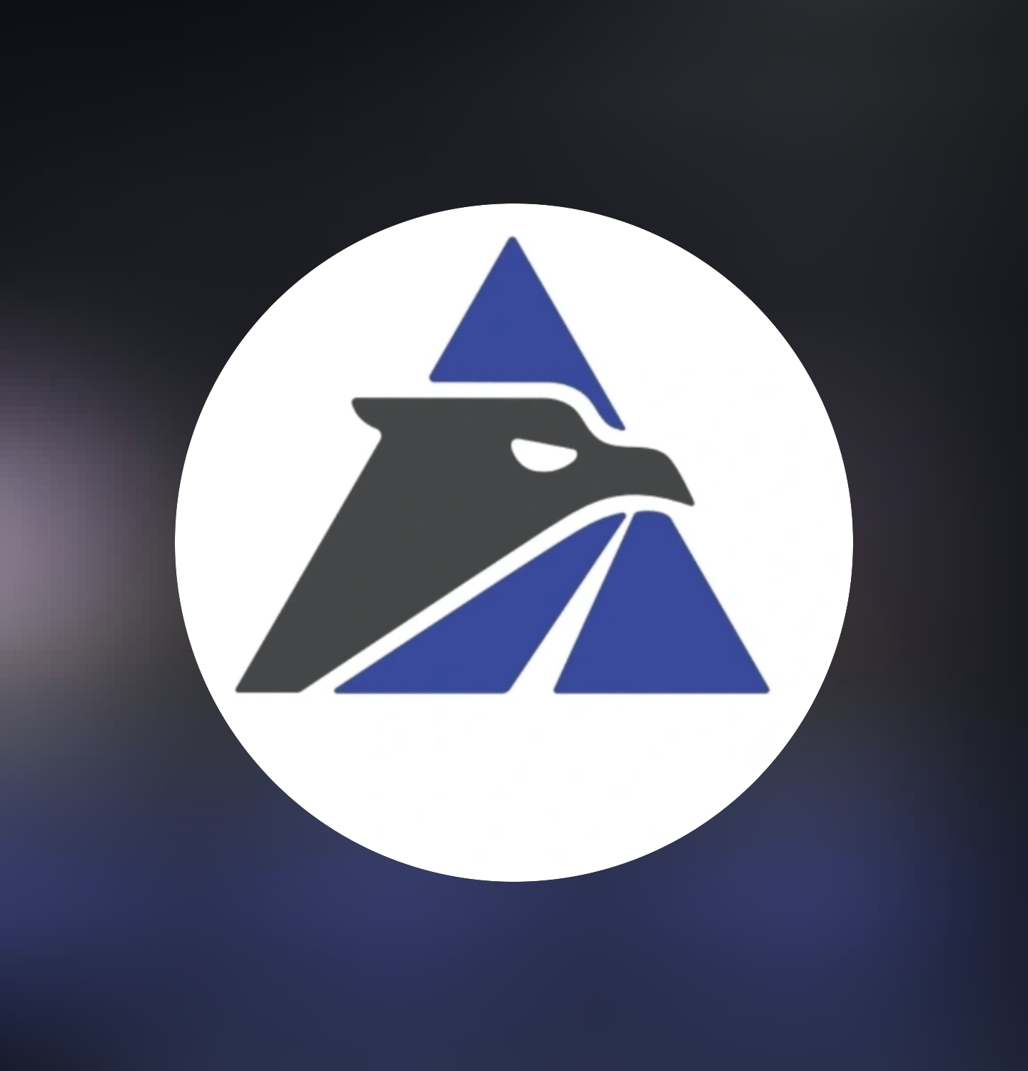 باربری و حمل و نقل پارس هخامنش