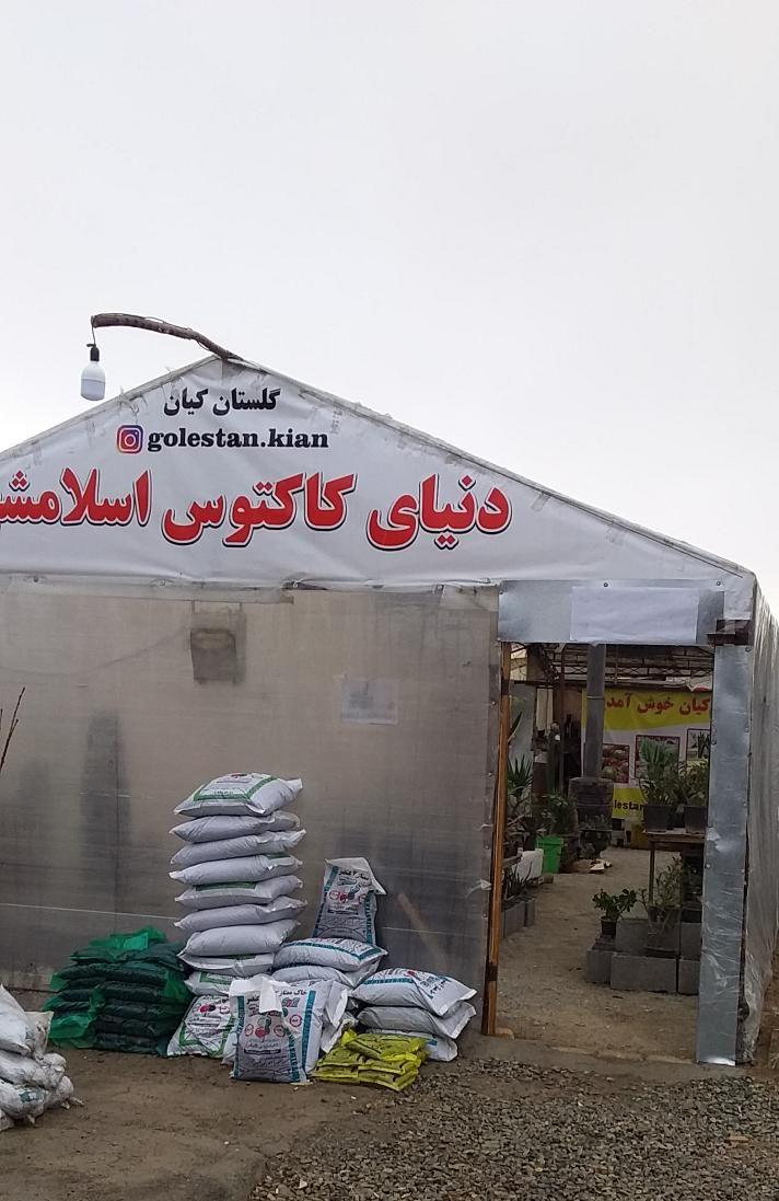 گلستان کیان دنیای کاکتوس