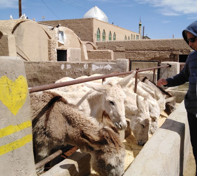 اقامتگاه بوم گردی خانه پدری