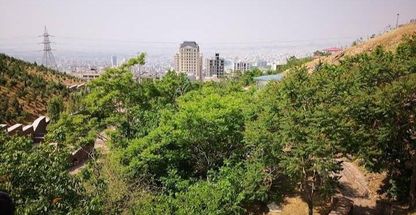 بوستان نیلوفر