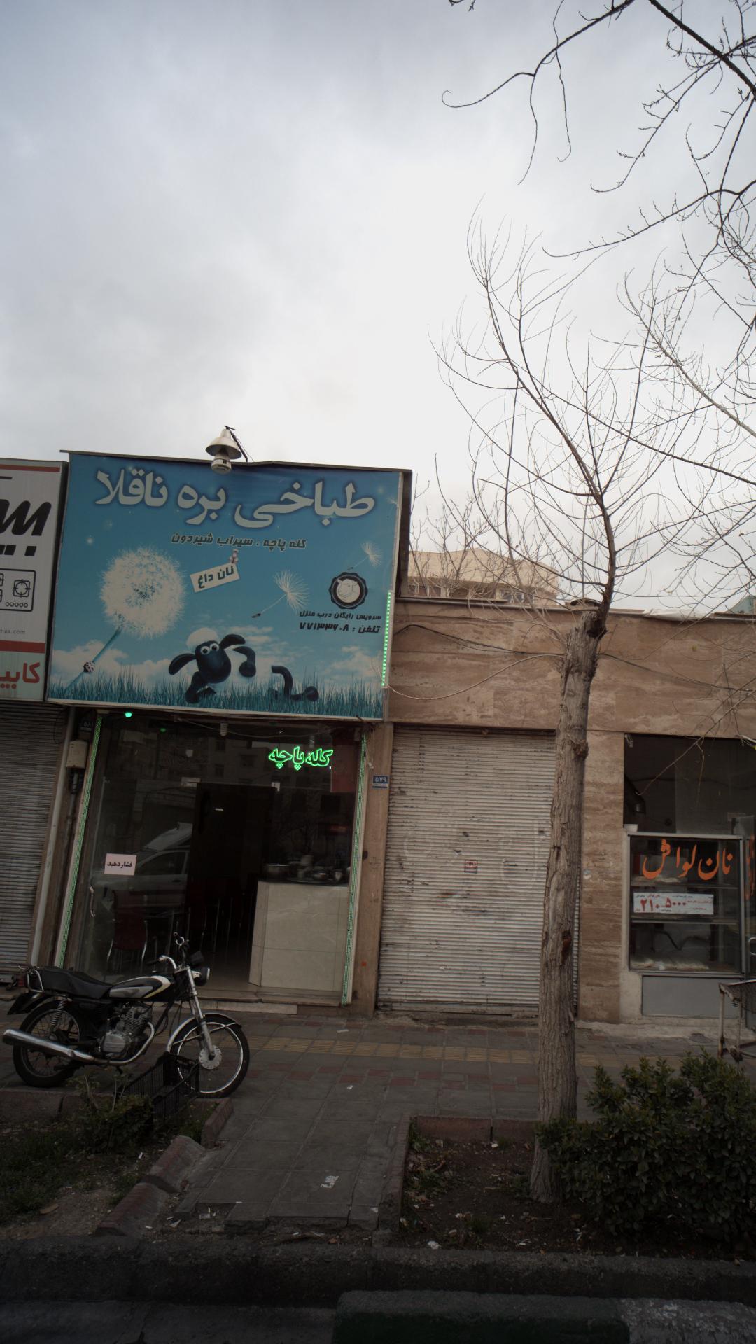 طباخی بره ناقلا
