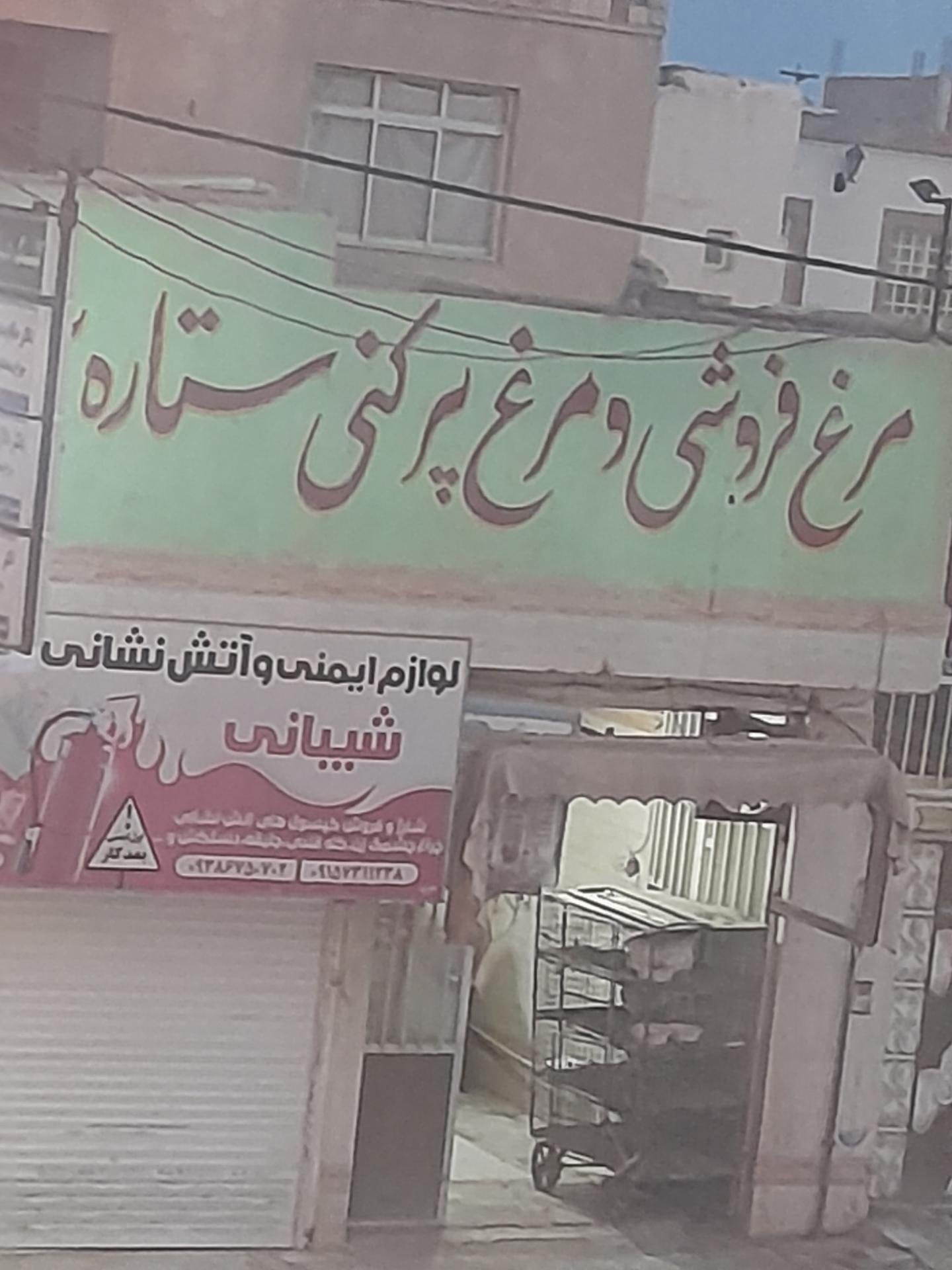 مغازهای ماهی فروشی