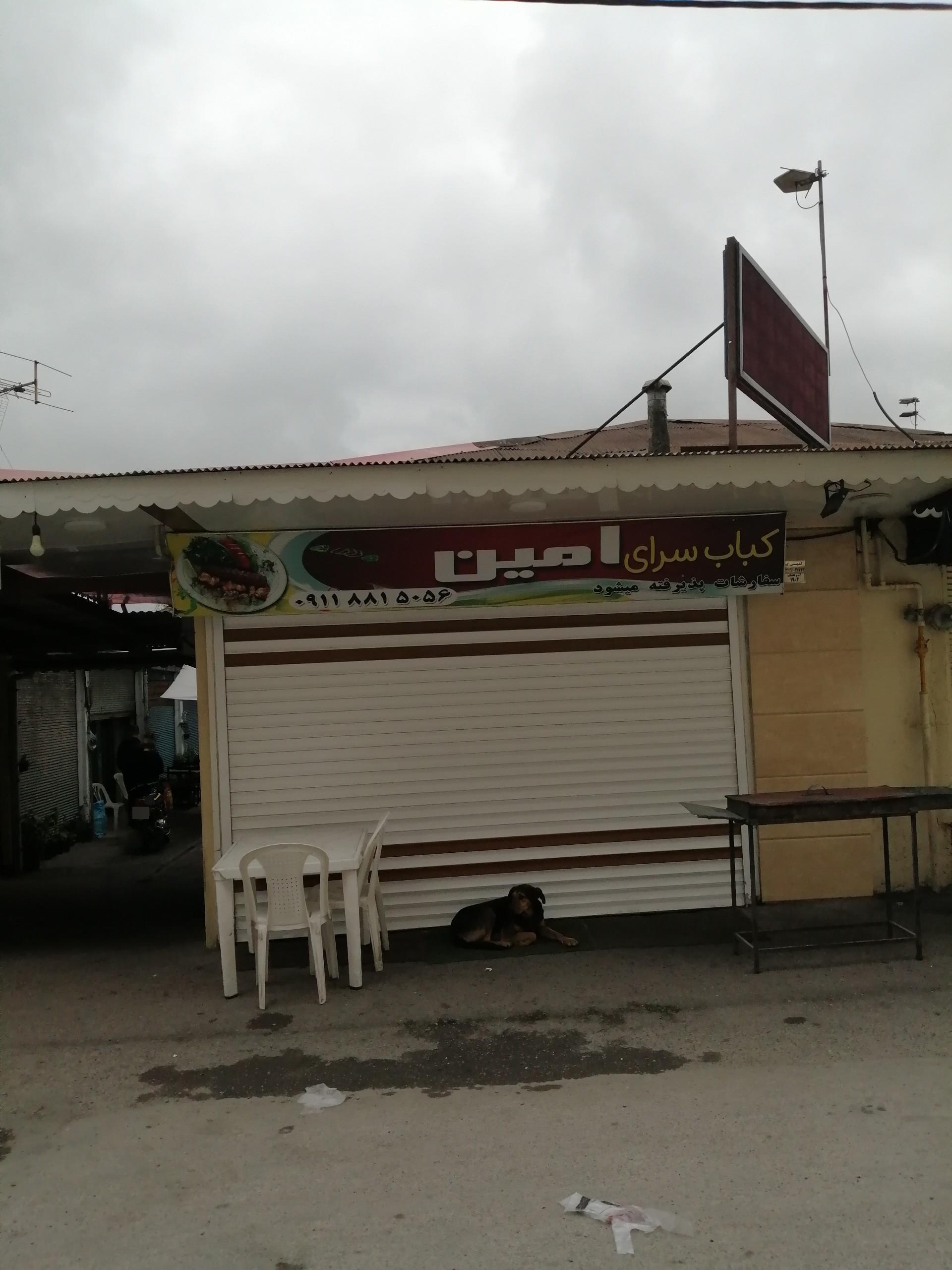 حلیم نجیب