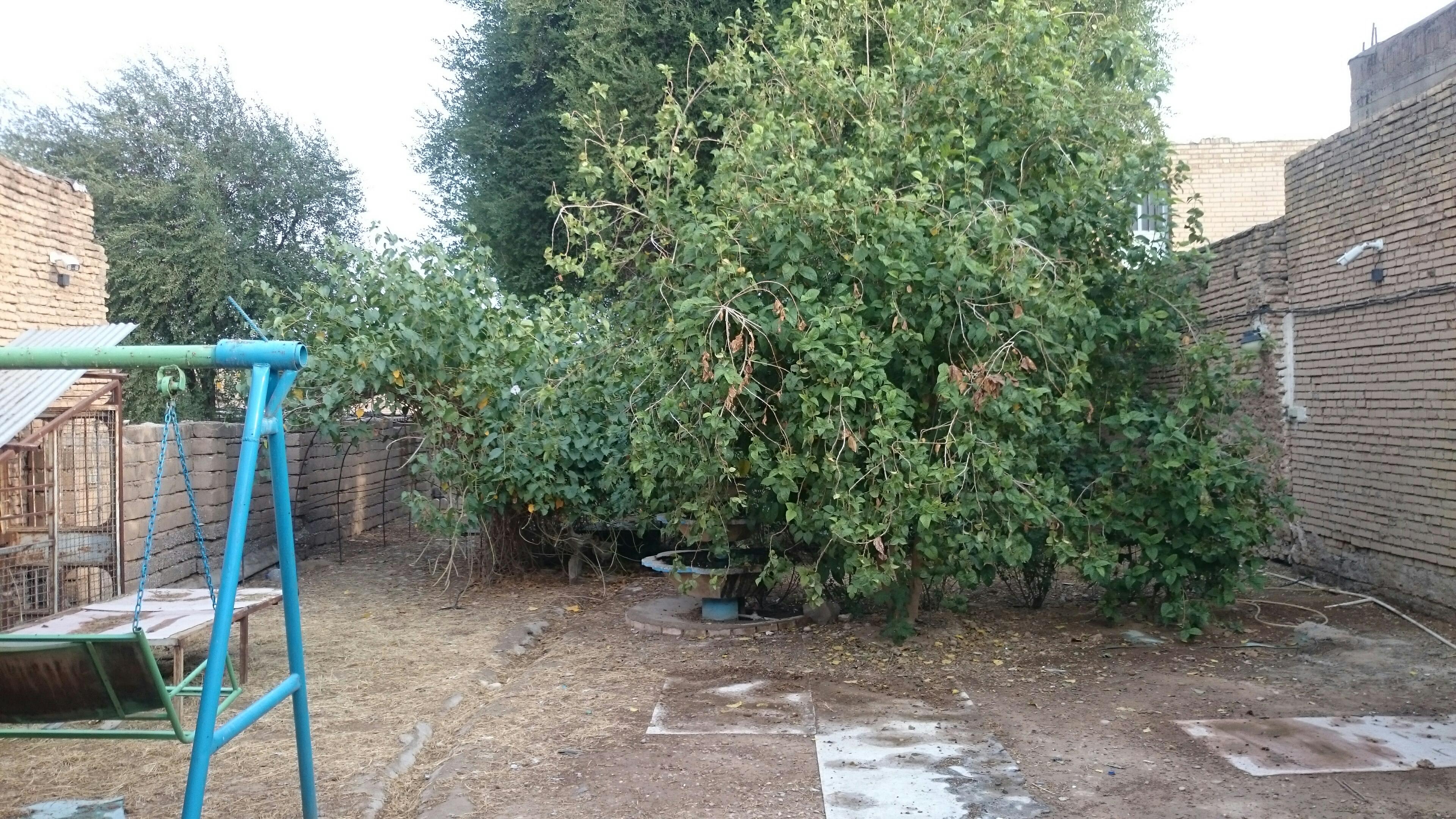 اقامتگاه سنتی محمدی