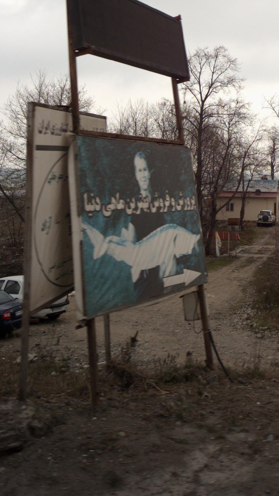 خوراک دام و طیور صابری