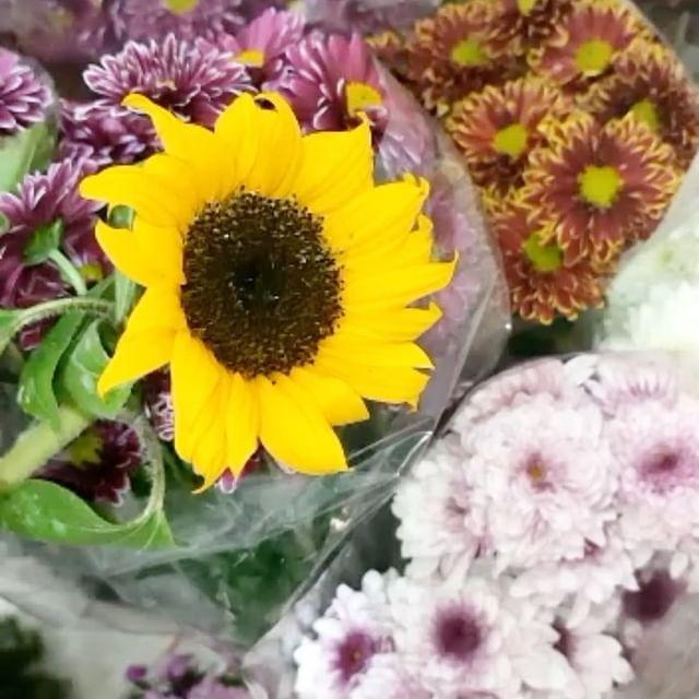 گلفروشی آنلاین ماهشهر