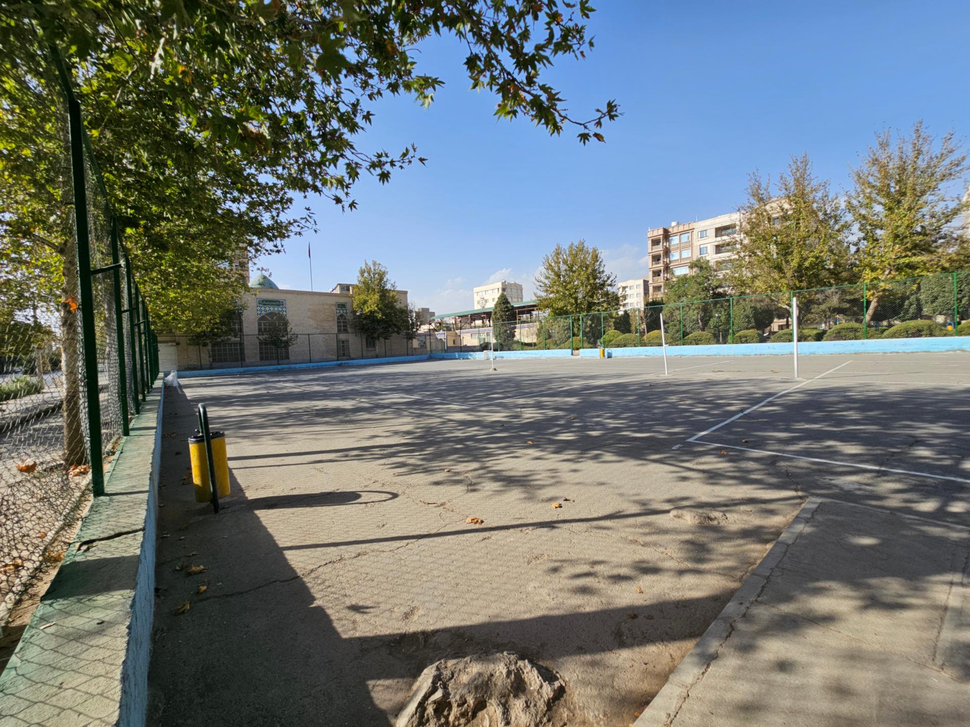 گیم نت شوک