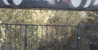 باشگاه ورزشی راش