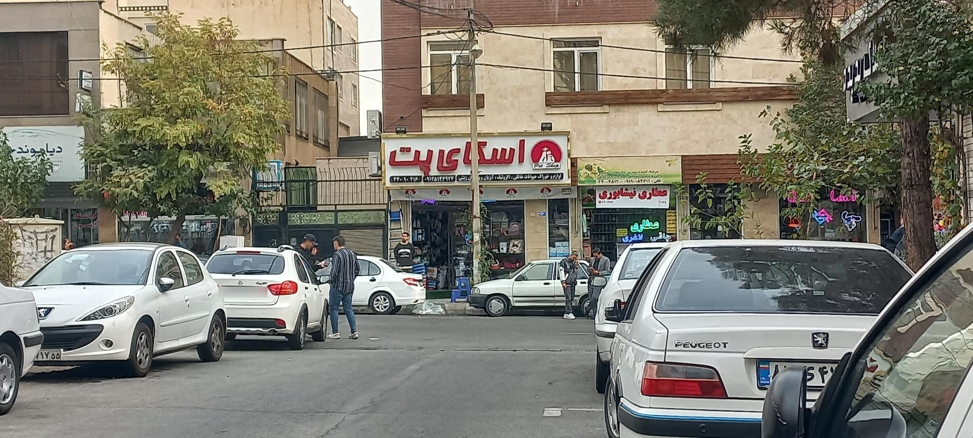 اسکای پت