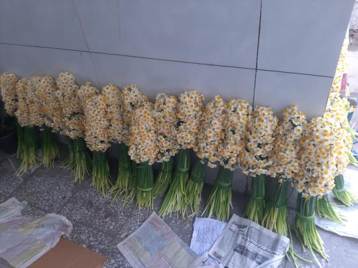 گل فروشی پریچهره