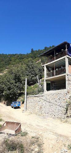 خانه مسافر کیان