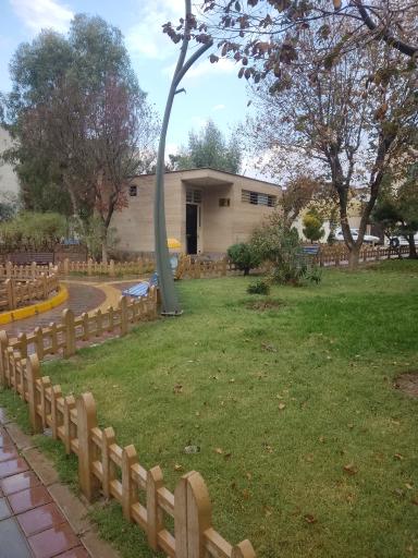 سرویس بهداشتی
