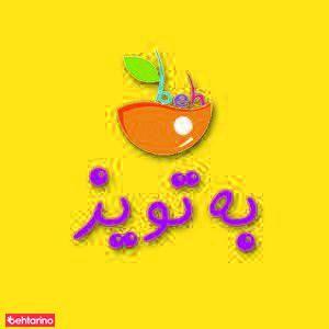 گروه اسباب بازی به تویز