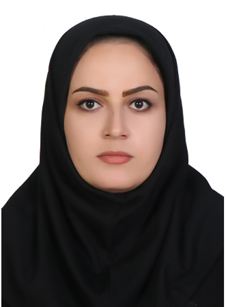وکیل مکرم رضایی