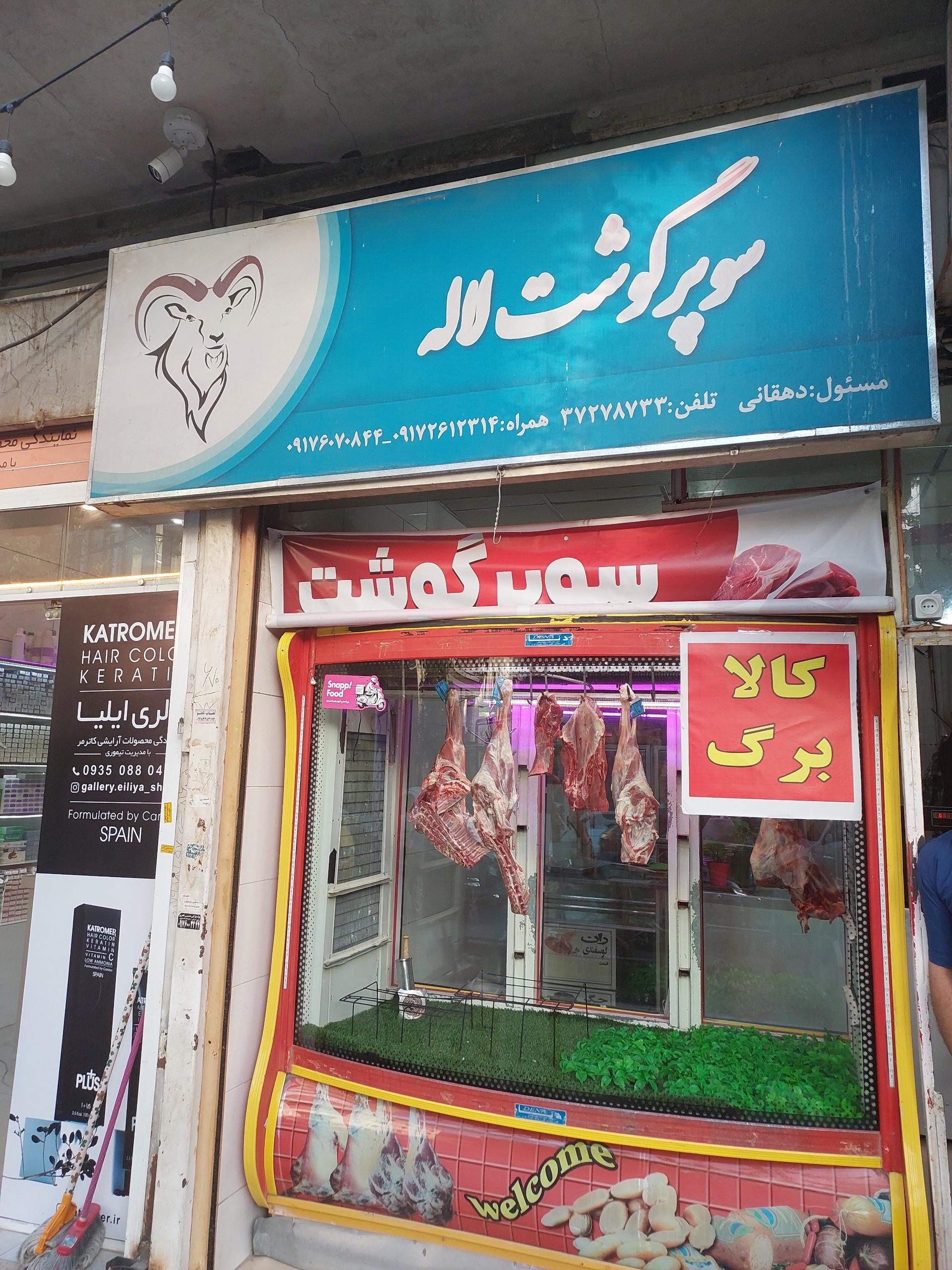 مرغ تک فارس سجاد
