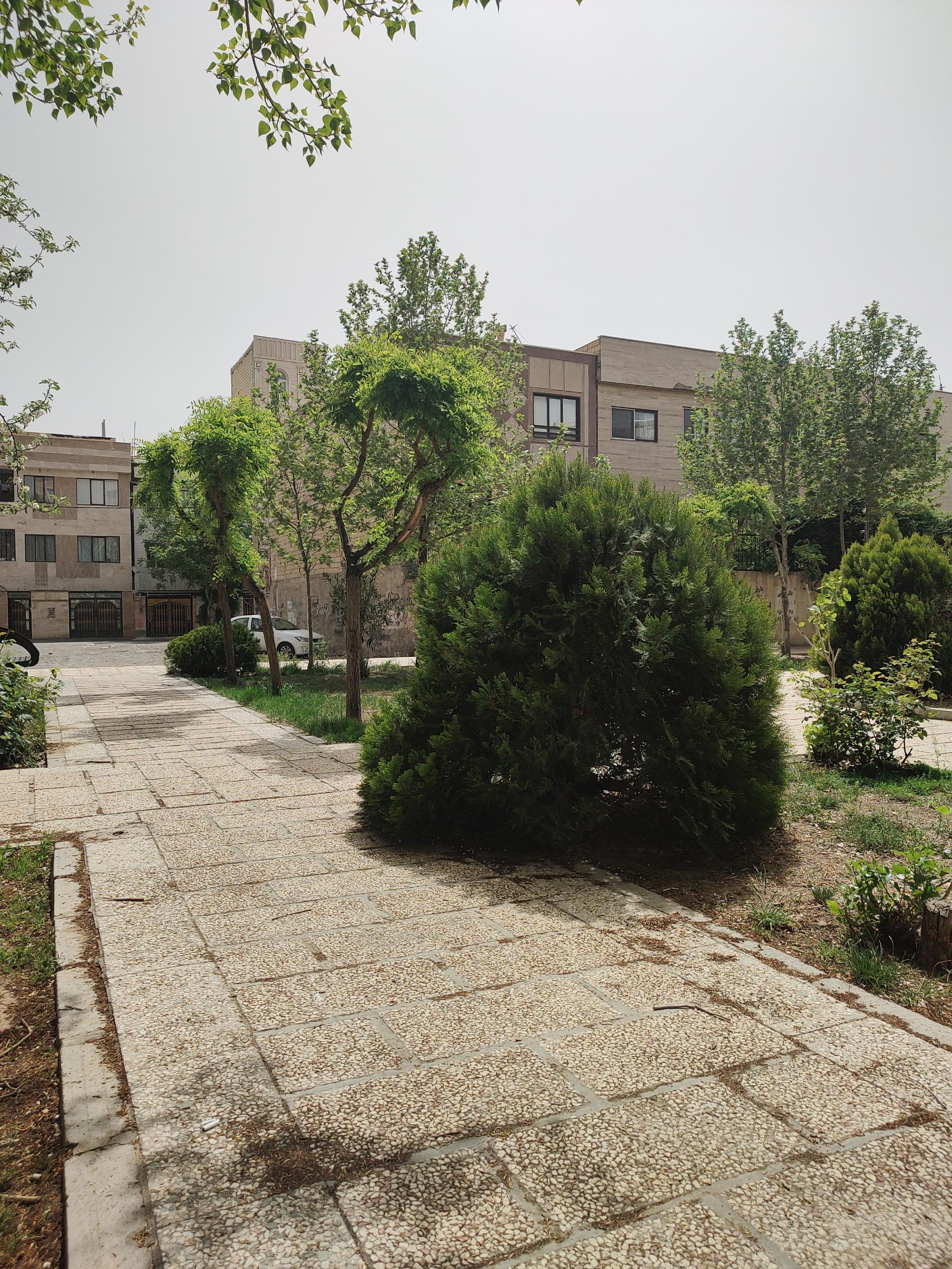 فضای سبز
