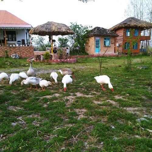 بومگردی شهاب میانده