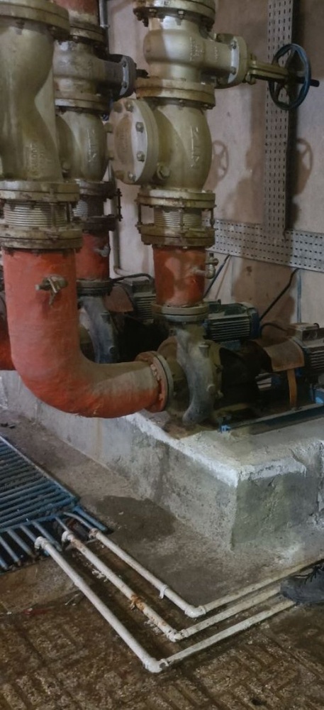 فرزاد میرزایی علی عربی