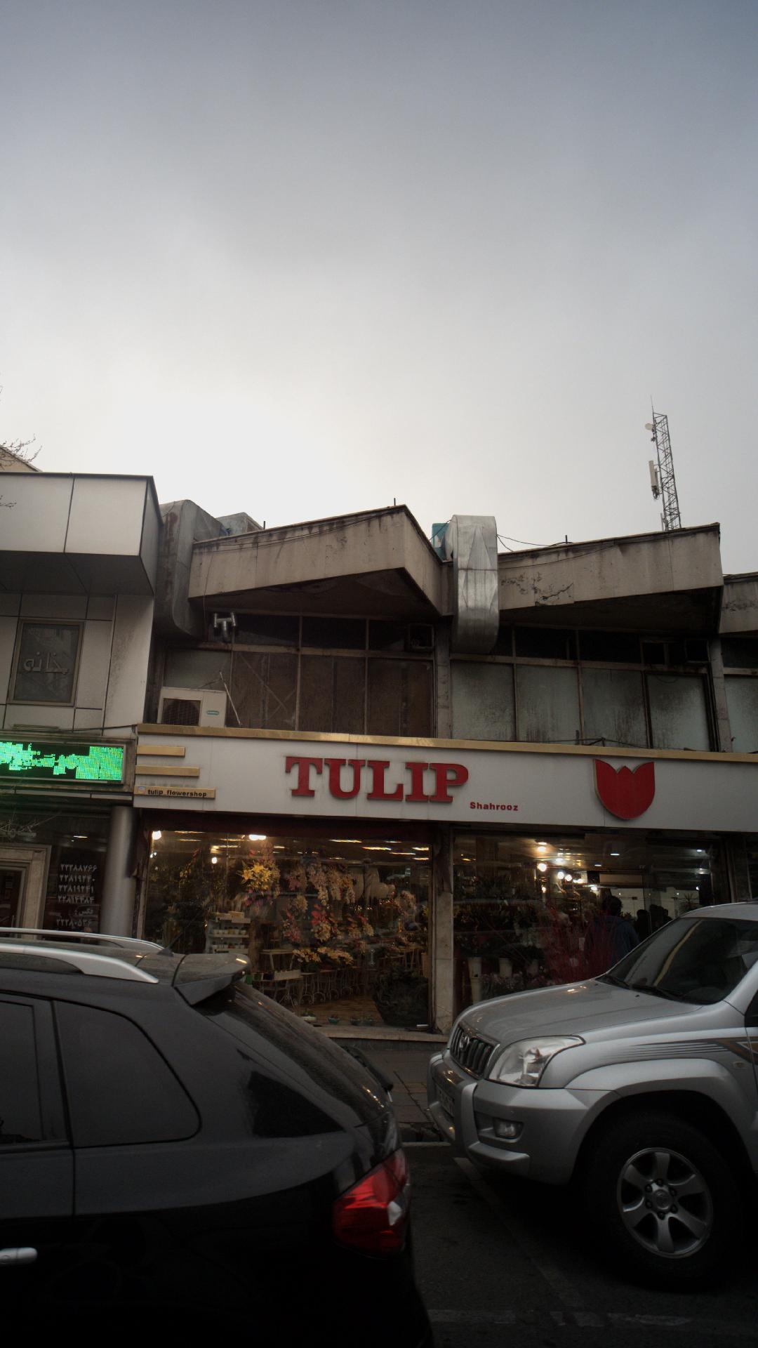 TULIPگل فروشی 