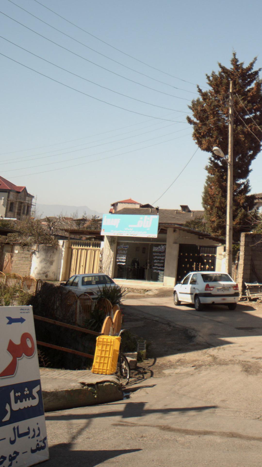 کناف عباسی