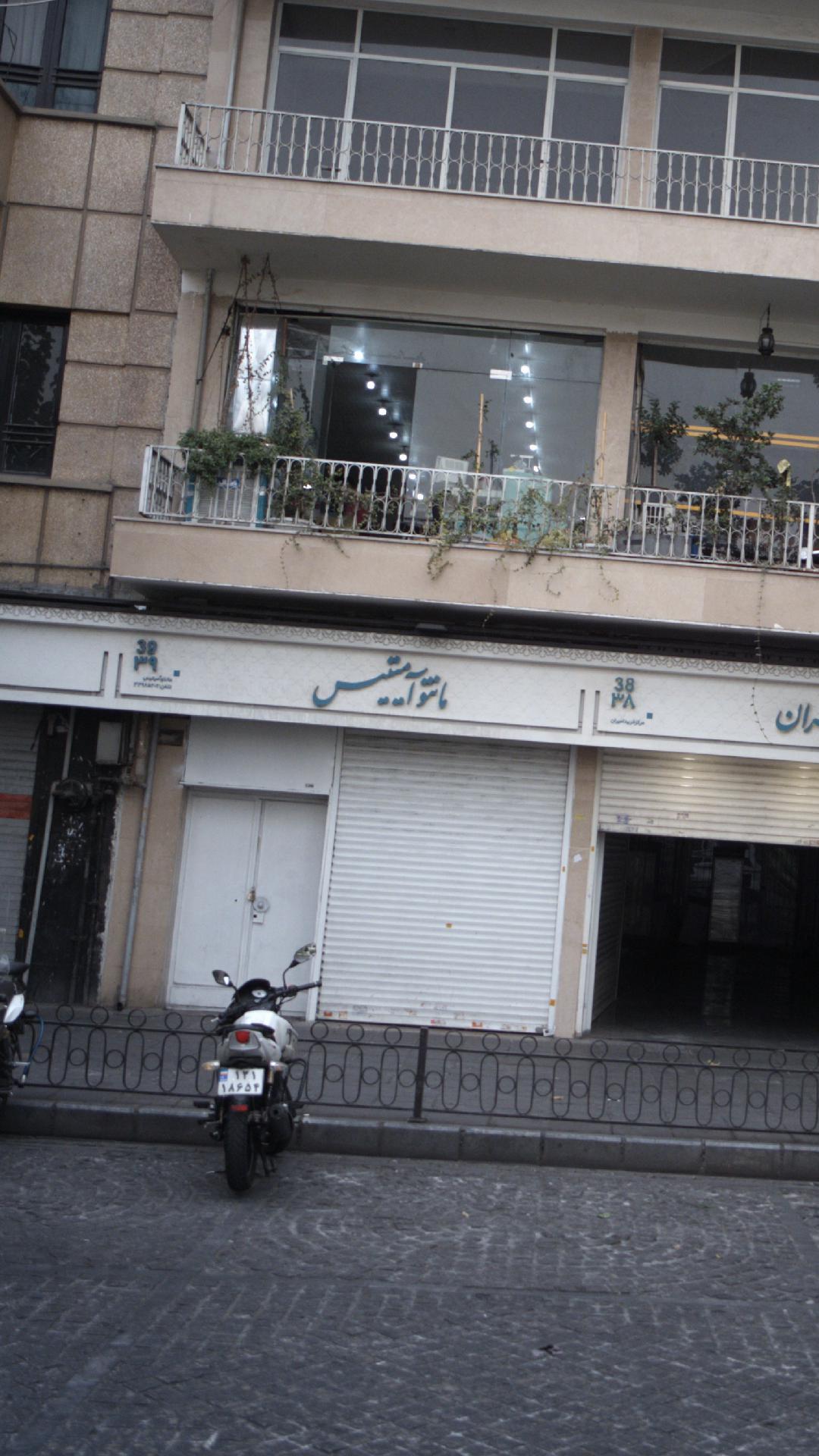 مانتو آمیتیس
