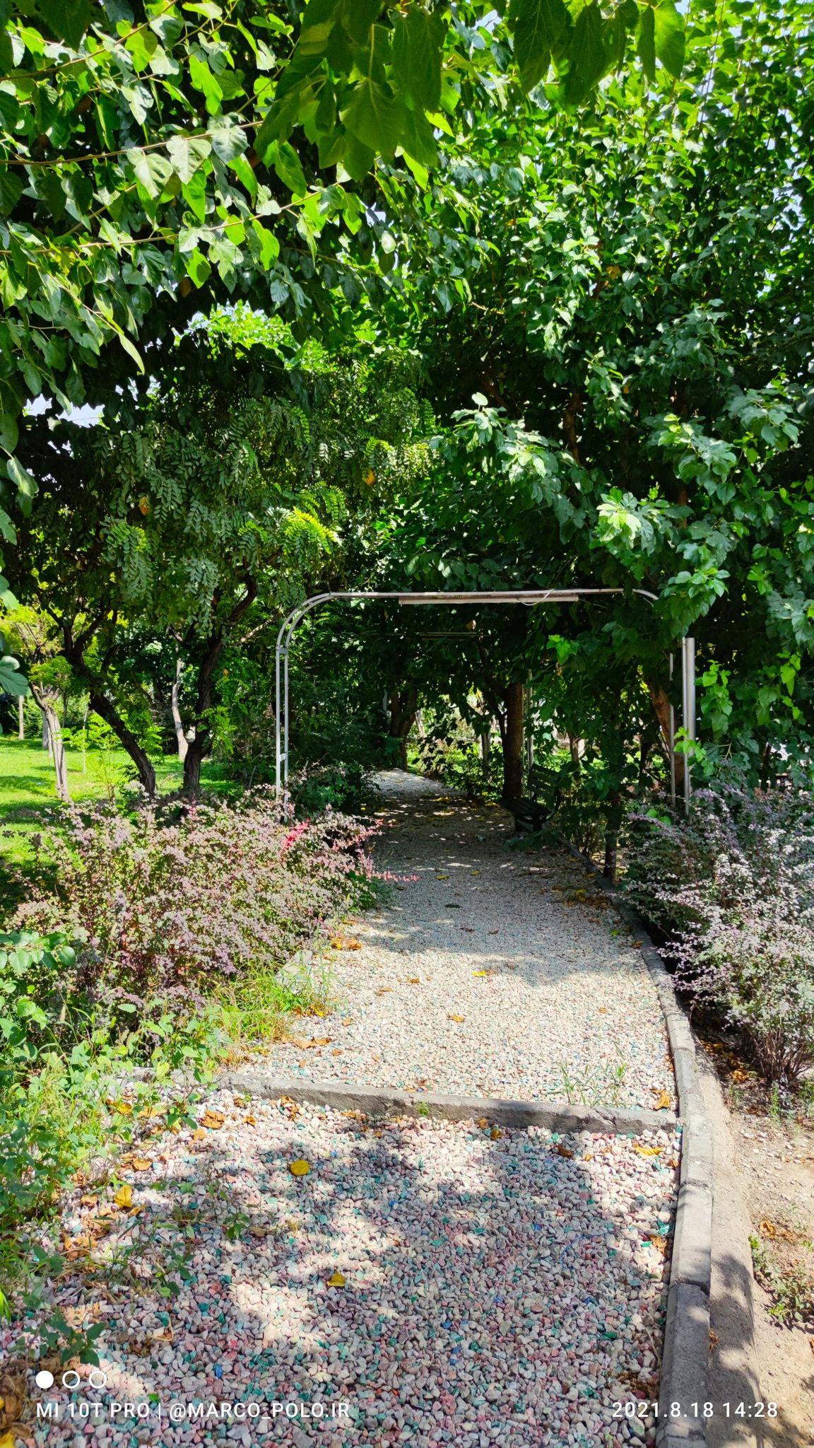 بوستان نیلوفر