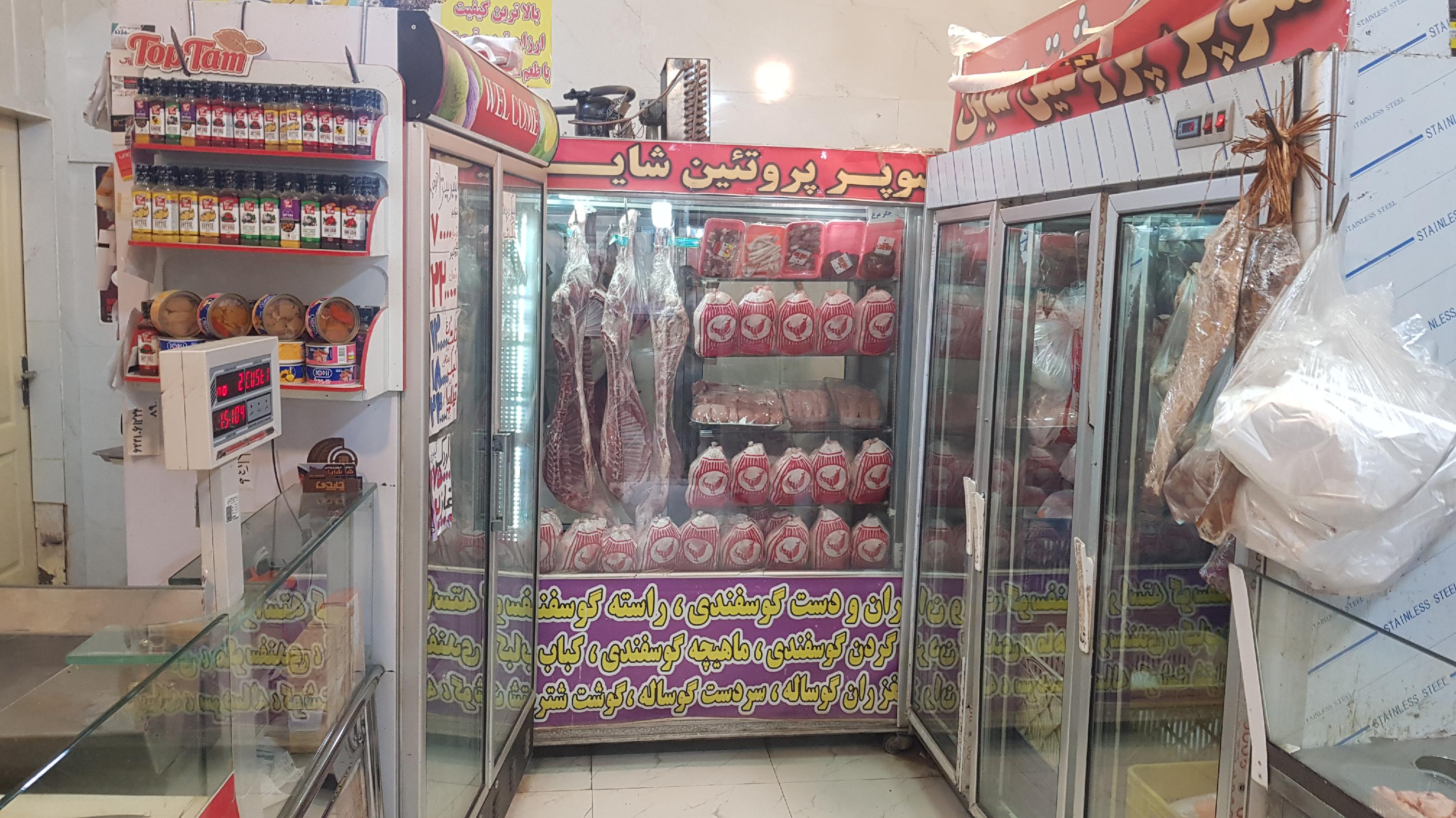 پروتئین گوشت مرغ ماهی شایان