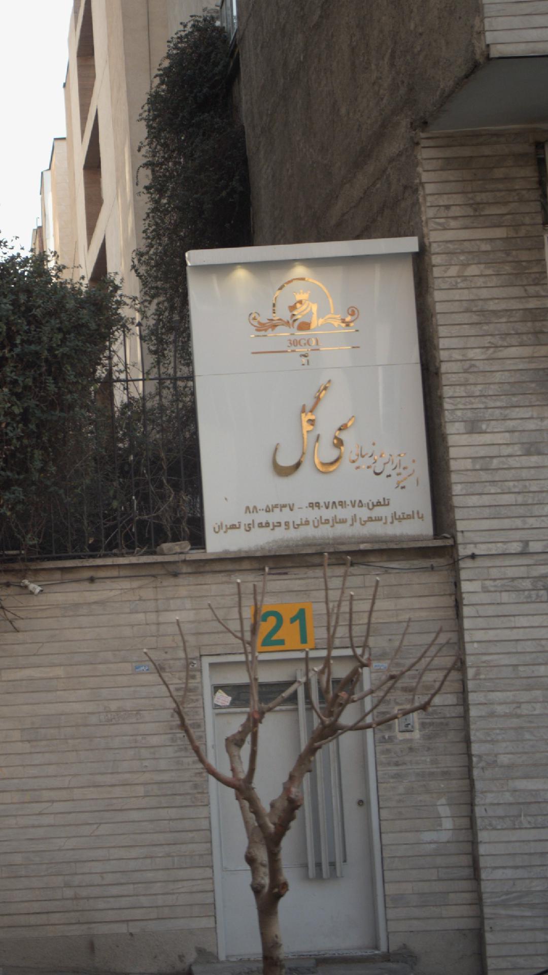 فرهنگستان هنر
