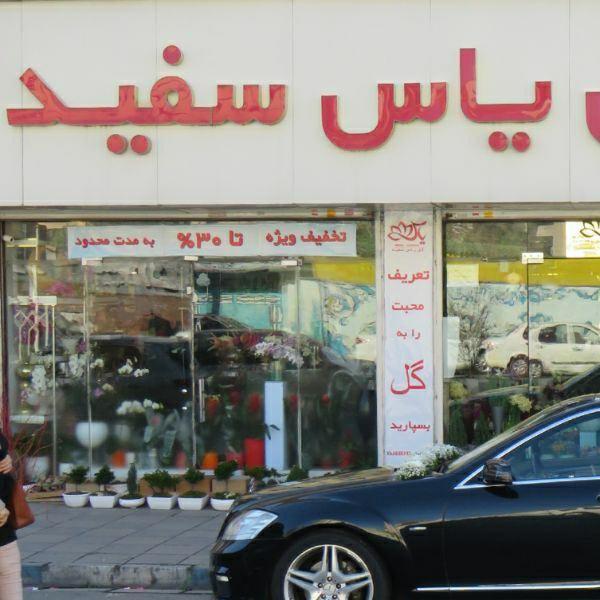 گل یاس سفید