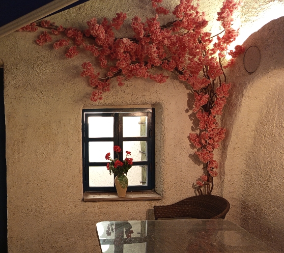 کافه رستوران سنتورینی