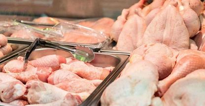 دهکده مرغ و ماهی سحر