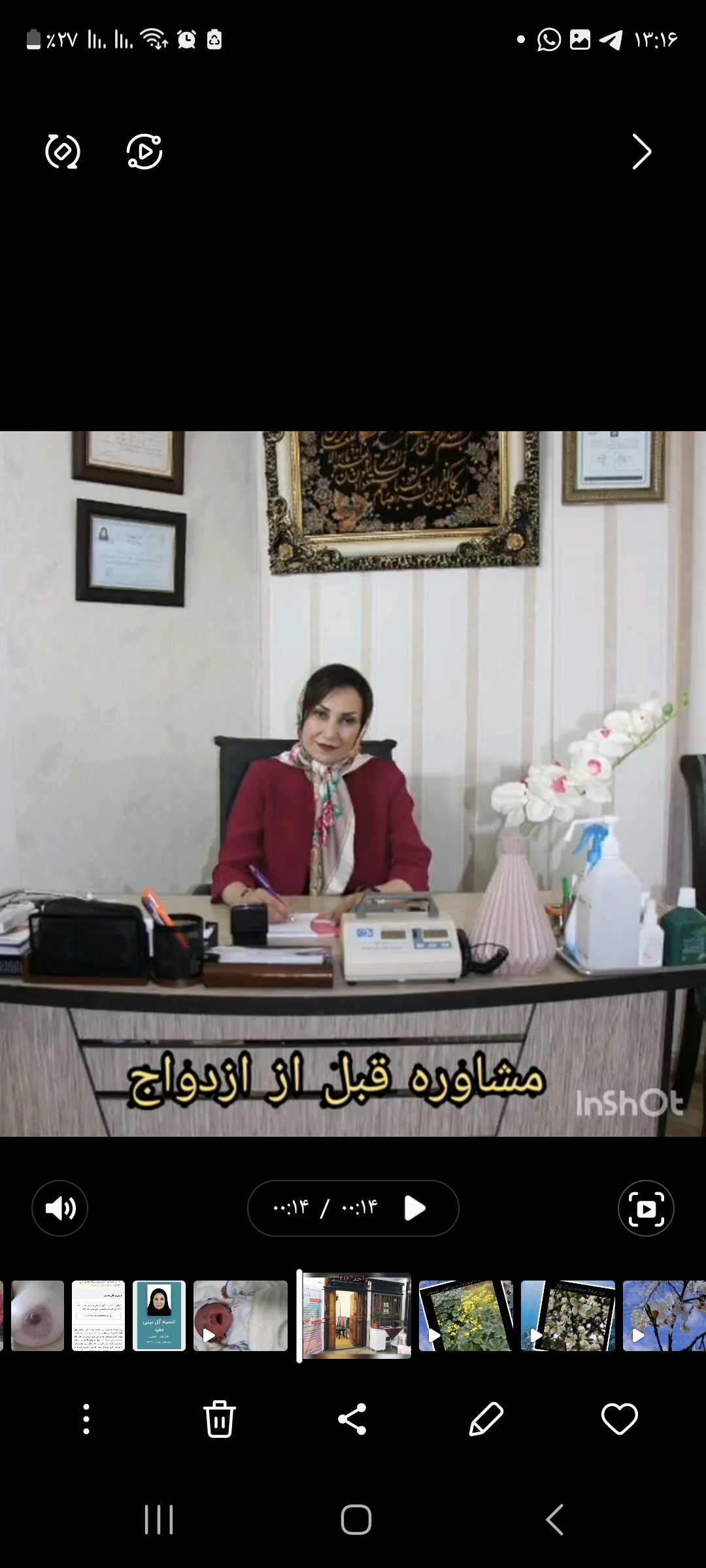 انسیه گل بینی