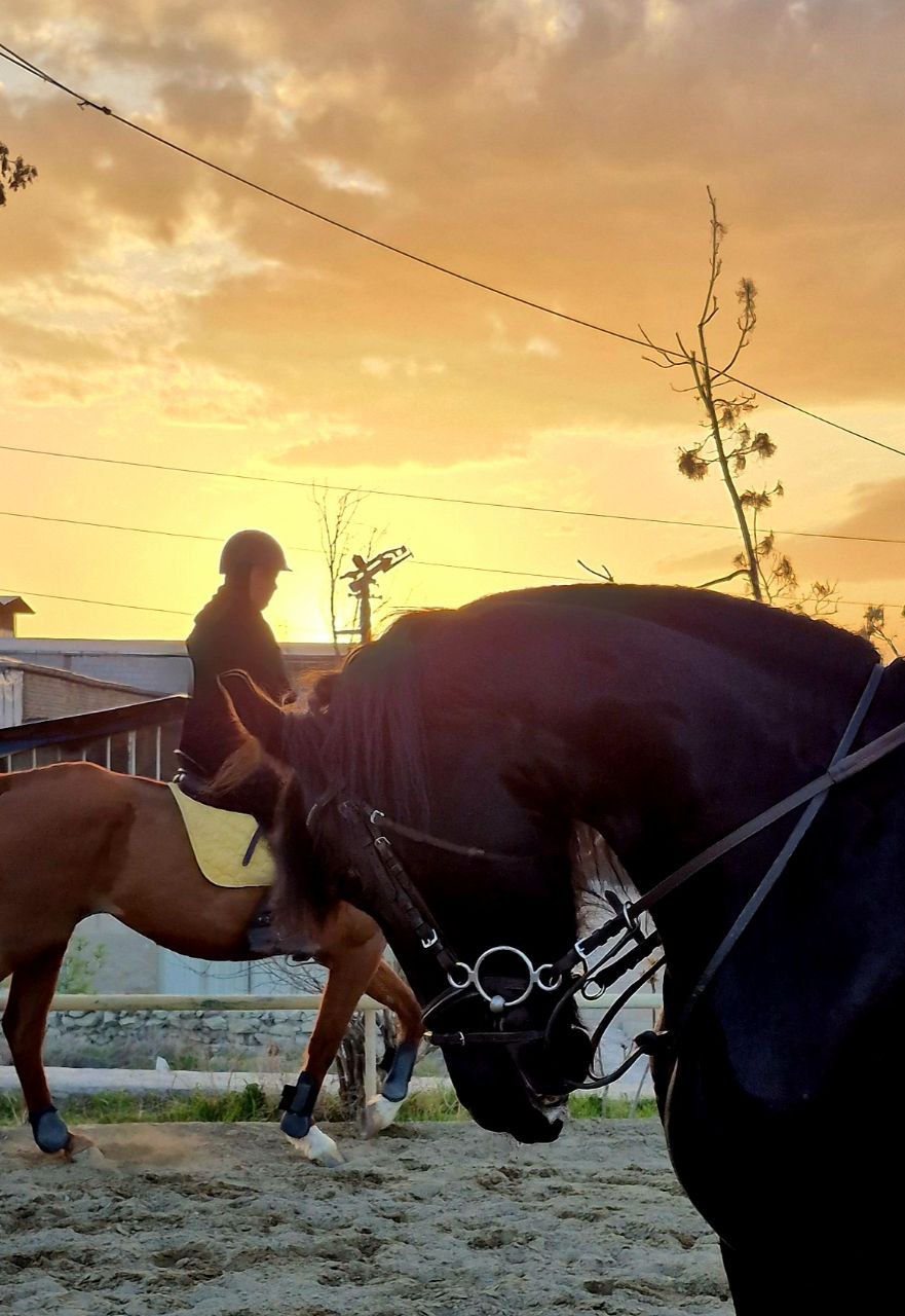 باشگاه سوارکاری کمرد