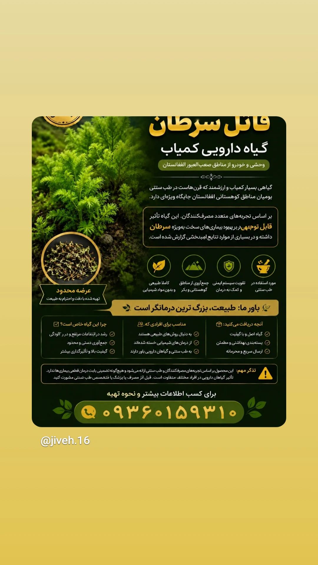 کمک به درمان سرطان