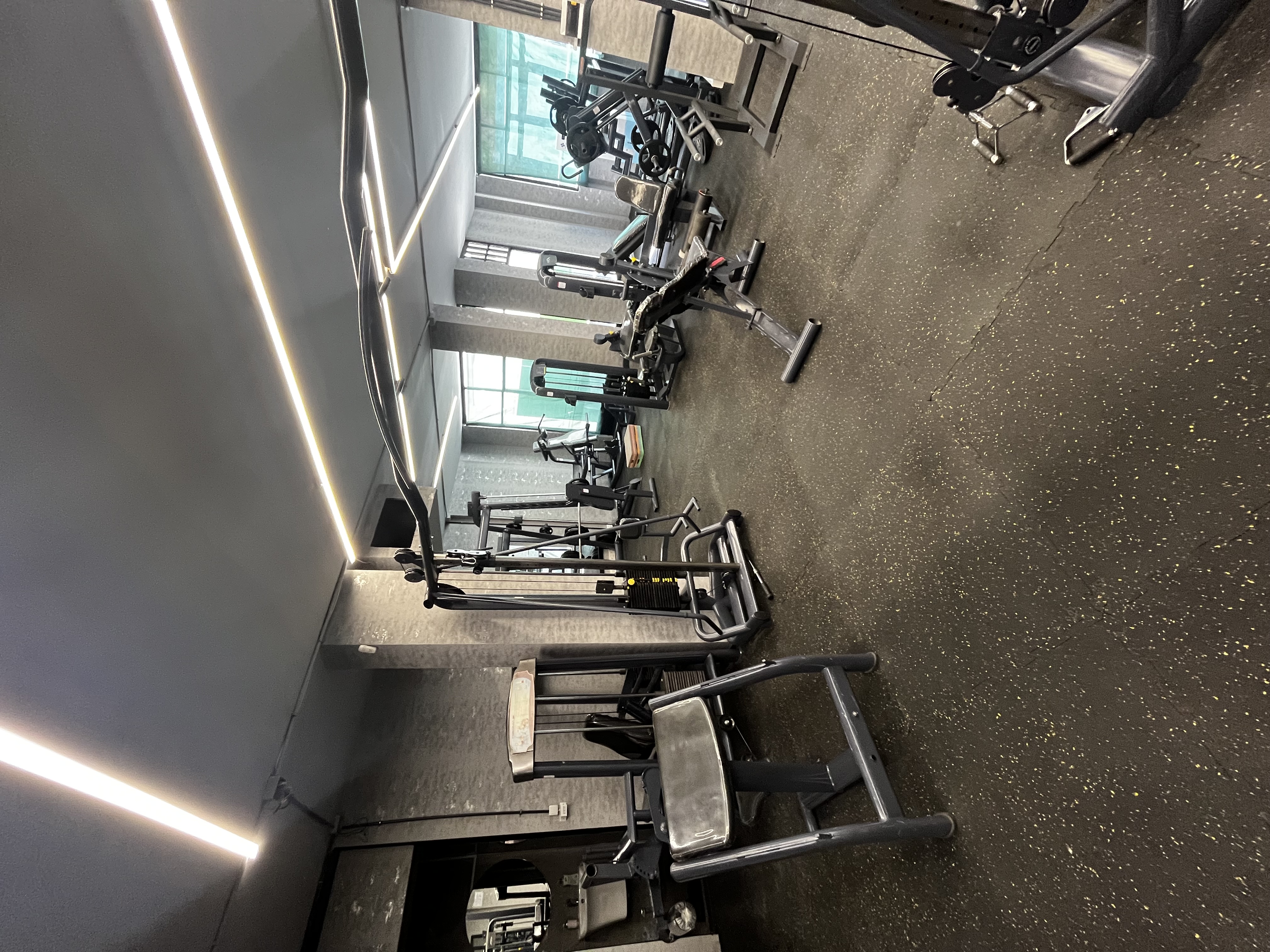 مربی کیک بوکس و بدنسازی