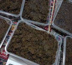 محصولات ارگانیک خوراک سبز