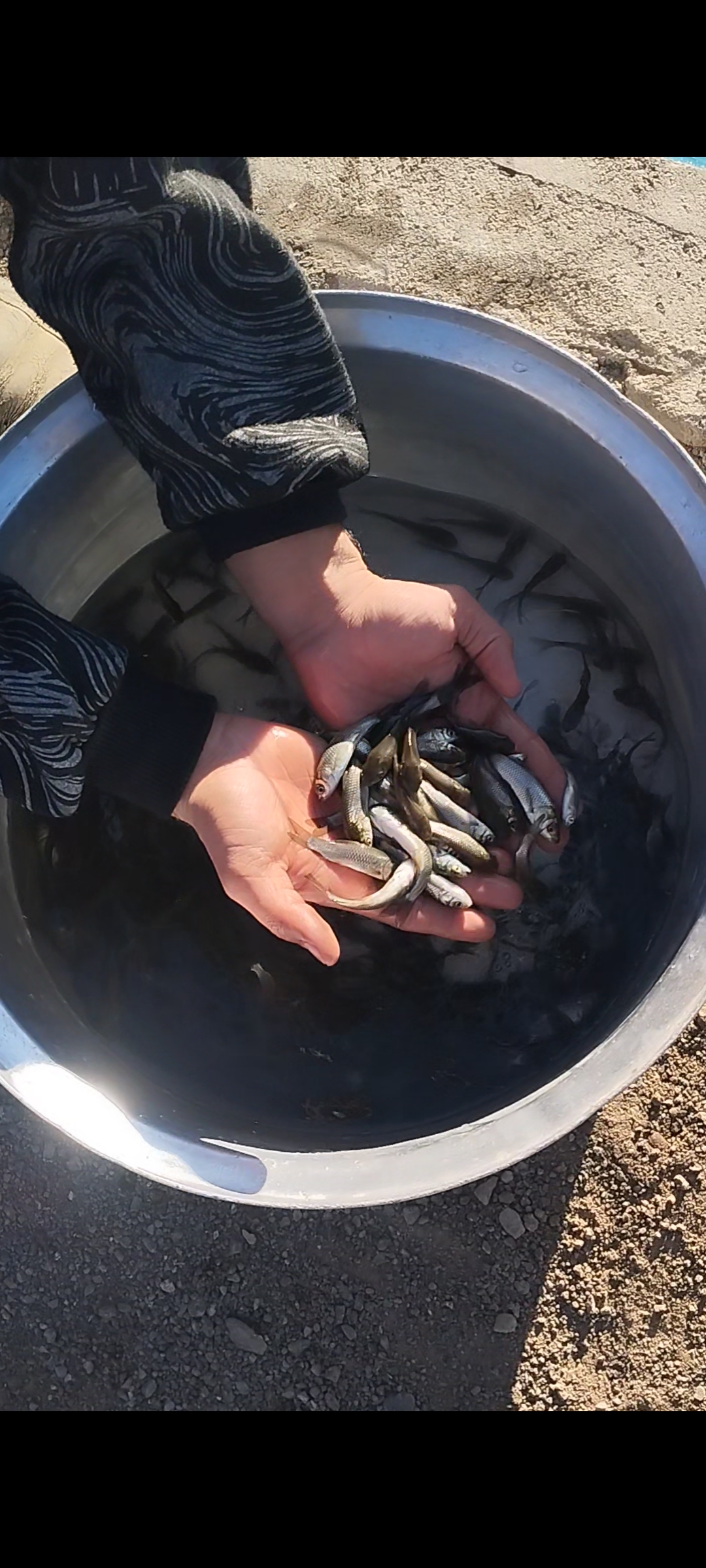 ماهی فروشی حسینی