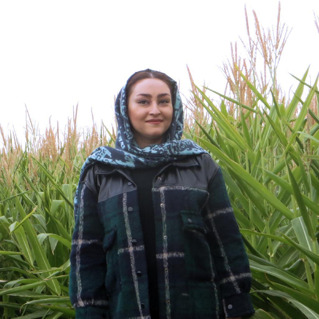 نانوایی رفاه