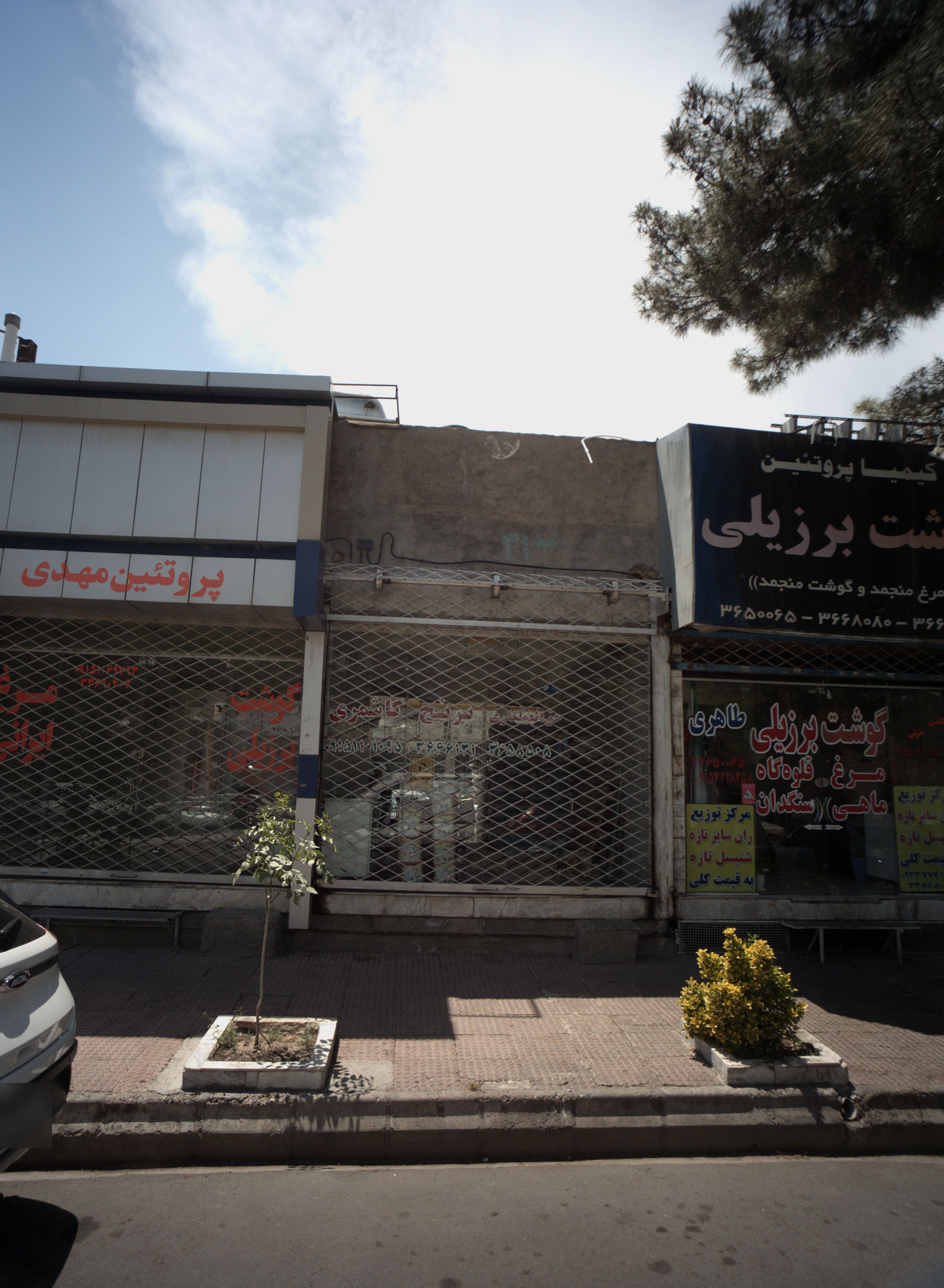 پروتئین مهدی