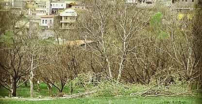 روستای نقاباد (نقاب)